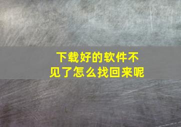 下载好的软件不见了怎么找回来呢