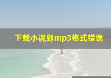 下载小说到mp3格式错误