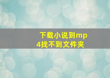 下载小说到mp4找不到文件夹