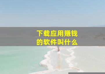 下载应用赚钱的软件叫什么