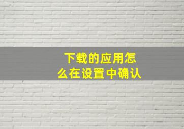 下载的应用怎么在设置中确认