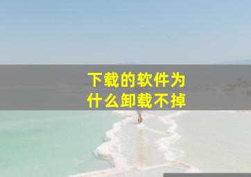 下载的软件为什么卸载不掉