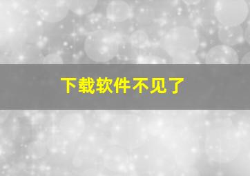 下载软件不见了