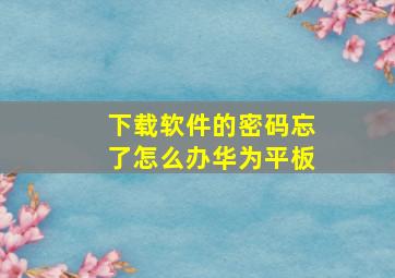 下载软件的密码忘了怎么办华为平板