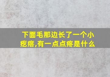 下面毛那边长了一个小疙瘩,有一点点疼是什么