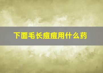 下面毛长痘痘用什么药