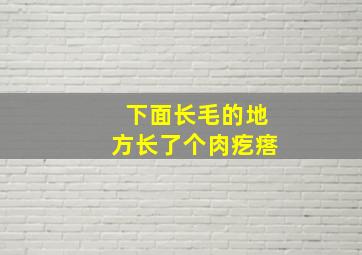 下面长毛的地方长了个肉疙瘩