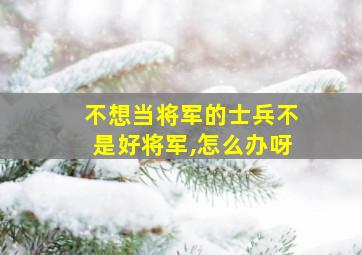 不想当将军的士兵不是好将军,怎么办呀