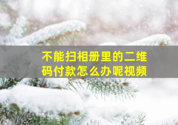 不能扫相册里的二维码付款怎么办呢视频