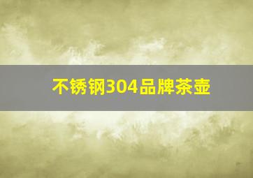 不锈钢304品牌茶壶