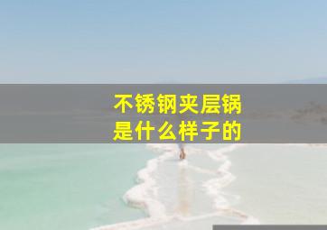 不锈钢夹层锅是什么样子的