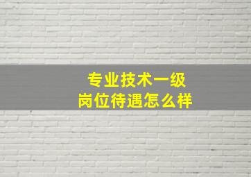 专业技术一级岗位待遇怎么样