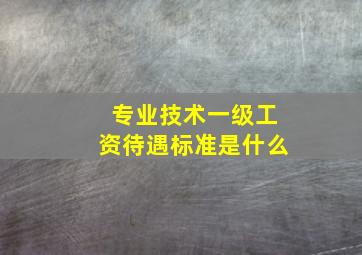 专业技术一级工资待遇标准是什么