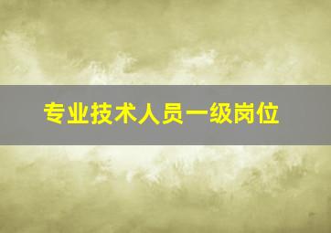 专业技术人员一级岗位