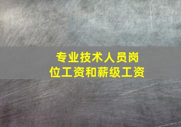 专业技术人员岗位工资和薪级工资