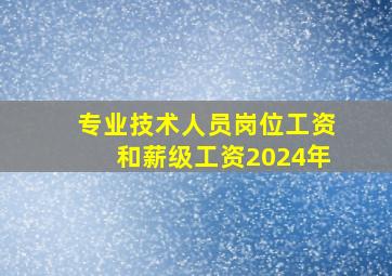 专业技术人员岗位工资和薪级工资2024年