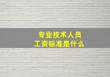 专业技术人员工资标准是什么