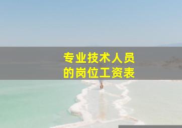 专业技术人员的岗位工资表