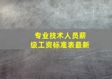 专业技术人员薪级工资标准表最新