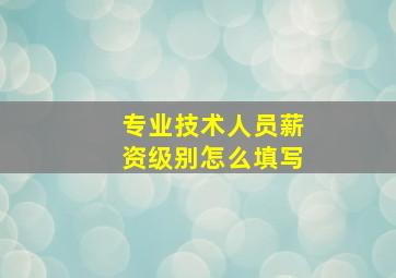 专业技术人员薪资级别怎么填写