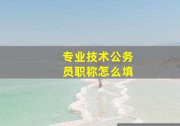 专业技术公务员职称怎么填