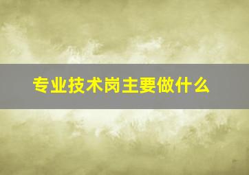 专业技术岗主要做什么