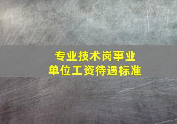 专业技术岗事业单位工资待遇标准