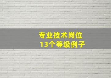 专业技术岗位13个等级例子