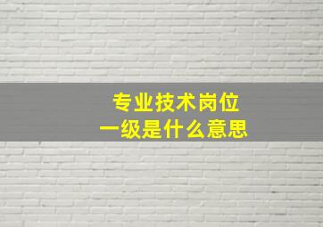 专业技术岗位一级是什么意思