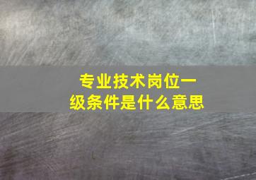 专业技术岗位一级条件是什么意思