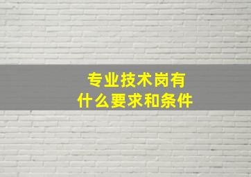 专业技术岗有什么要求和条件