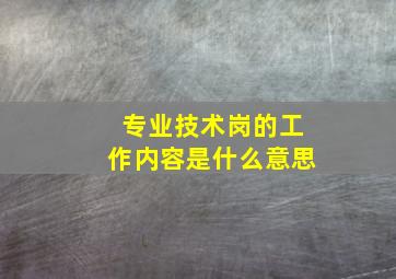 专业技术岗的工作内容是什么意思