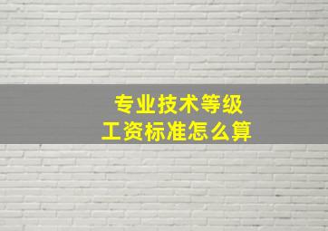 专业技术等级工资标准怎么算