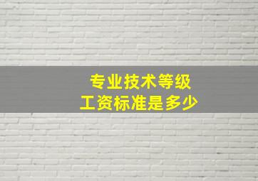 专业技术等级工资标准是多少