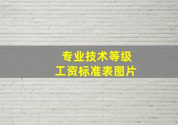 专业技术等级工资标准表图片