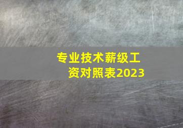 专业技术薪级工资对照表2023