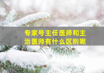 专家号主任医师和主治医师有什么区别呢