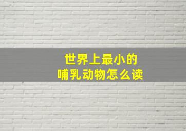 世界上最小的哺乳动物怎么读