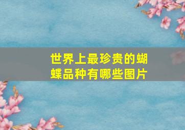 世界上最珍贵的蝴蝶品种有哪些图片