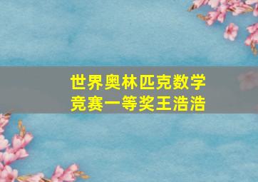 世界奥林匹克数学竞赛一等奖王浩浩