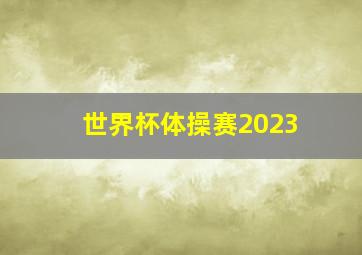 世界杯体操赛2023