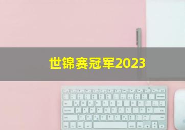 世锦赛冠军2023