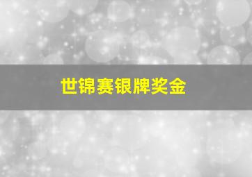 世锦赛银牌奖金