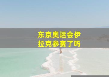 东京奥运会伊拉克参赛了吗