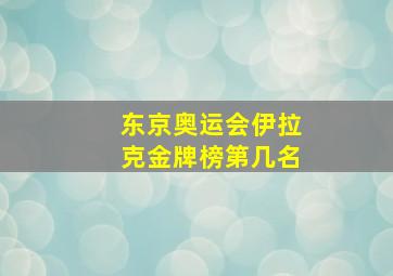 东京奥运会伊拉克金牌榜第几名