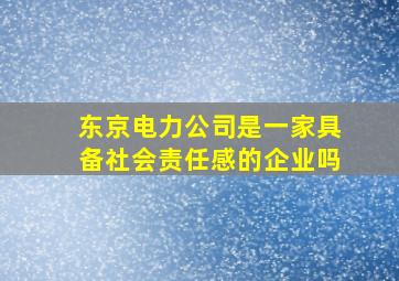 东京电力公司是一家具备社会责任感的企业吗