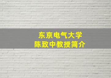 东京电气大学陈致中教授简介