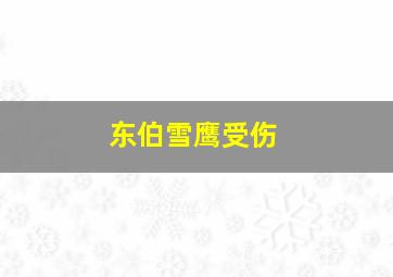 东伯雪鹰受伤