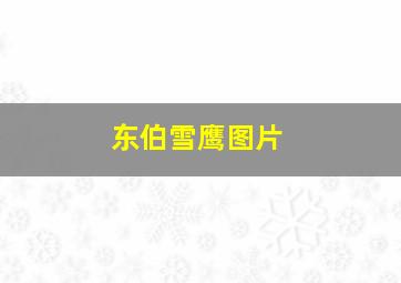 东伯雪鹰图片