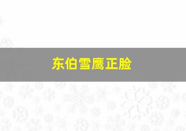 东伯雪鹰正脸